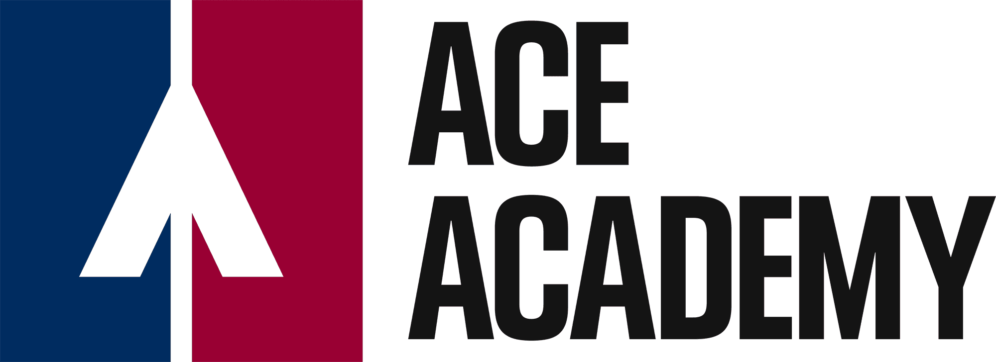 ACE ACADEMY