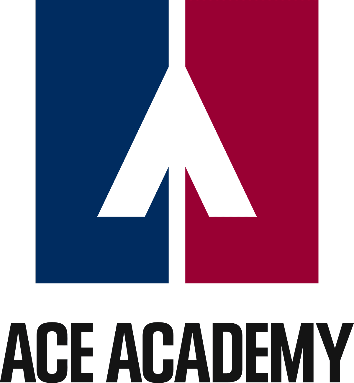 ACE ACADEMY